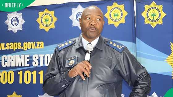 "You must be warned": Gauteng SAPS boss confirms R10K fine on SA citizens housing illegal immigrants