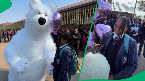 “Well done”: Johannesburg schoolgirl gets dancing polar bear birthday surprise outside school gates