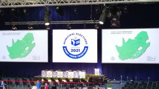 Elections 2021: Small parties doing well enough at the polls, NFP leading in some parts of KZN