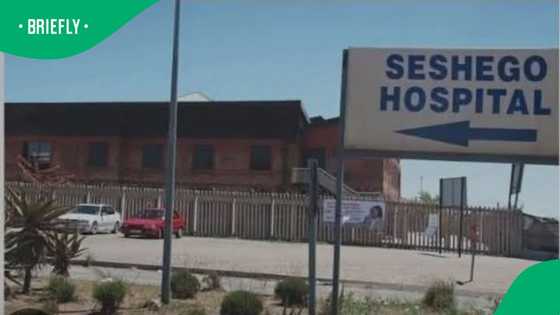 Three-year-old dies after being forgotten in locked car in Seshego, South Africans weigh in