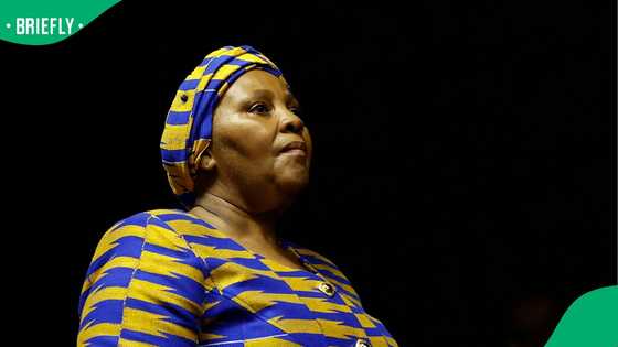 Nosiviwe Mapisa-Nqakula's trial adjourned after former defence minister needs medical attention