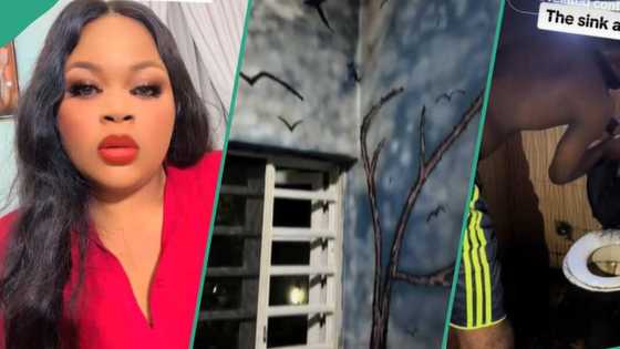 Tenant redecorates room with dark colours, paints sink black, his landlady cries