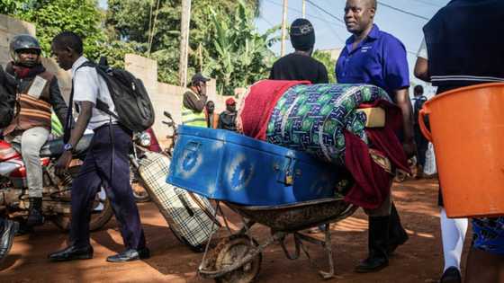 Uganda closes schools to fight Ebola, new cases fall