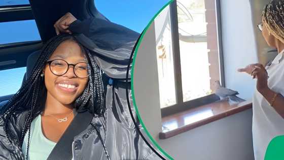 "I'd literally be a corpse": SA impressed with lady easily capturing bird in viral TikTok