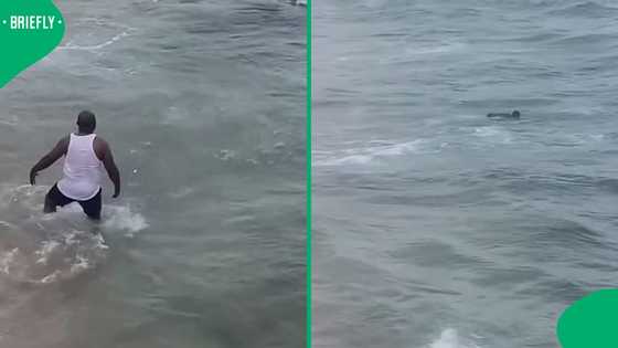 Video: Swimmers take risk near sharks at Umhlanga Rocks Beach sparks debate