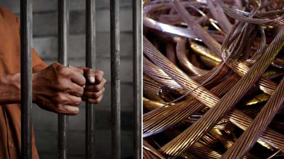 Zimbabwean national gets 15-year sentence for copper cable theft and illegal immigration in Limpopo