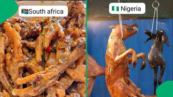 "So inhumane": Pictures of South African vs Nigeria traditional food goes viral