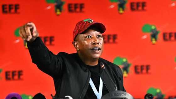 EFF says land expropriation without compensations is a non-negotiable for coalition partners