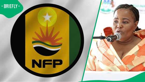 NFP suspends Mbali Shinga after she defied party orders, South Africans divided by the decision