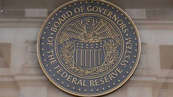 US Fed on track for a 'soft landing': senior offical