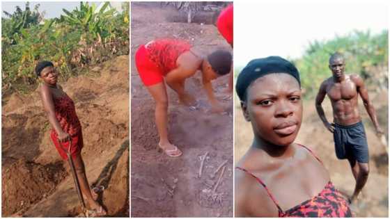 Valentine's Day on the farm: Young couple tend to crops with all the love