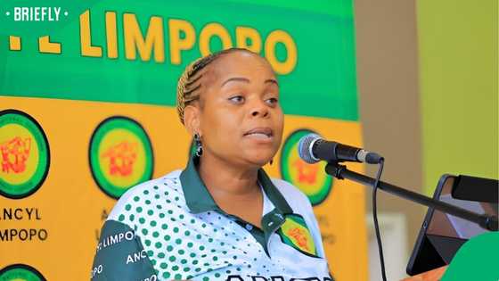 Dr Phophi Ramathuba reprimands illegal Zimbabwean migrants entering country, South Africans divided