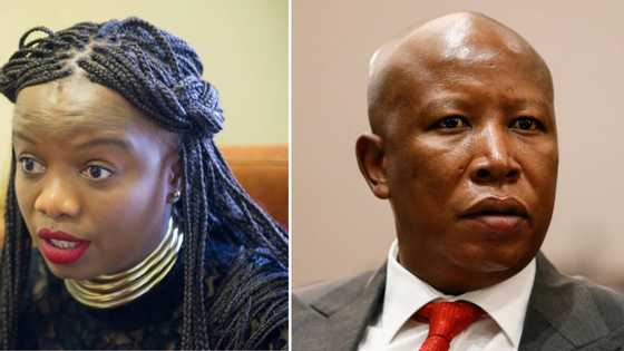 Ex DA MP Phumzile Van Damme impressed with how Julius Malema handled himself against AfriForum lawyer