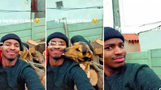 Black dog owner goes crazy after dog licked his face, viral video leaves SA dying with laughter