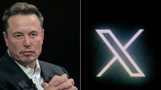 Musk pulls plug on paying for X factchecks