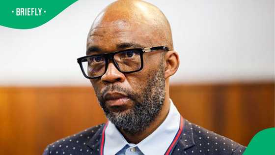Ad Hoc commitee: DA MP tears into Vusimuzi Matlala, calls him a crook