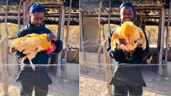 Halala: Farmer wows SA after sharing how his side hustle has grown in 4 years