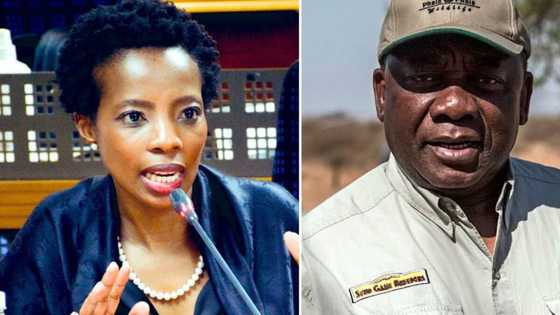 Gcaleka sheds light on Phala Phala investigation after clearing Ramaphosa, SA stunned