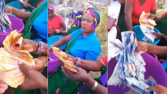 "Ku laveka mali": Video of gogos counting wads of cash leaves Mzansi stunned