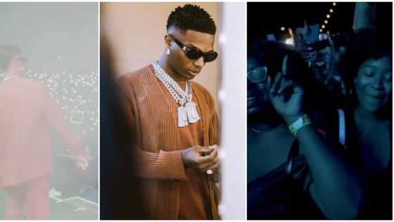 I live for this: Fans go wild as Wizkid shutdown concert in News York City