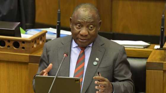 Ramaphosa praised by tourism sector for calling out travel bans, president addresses importance of vaccines