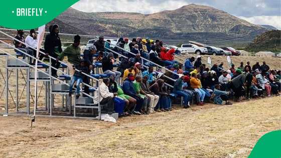 Eastern Cape R23m Lesseyton stadium scandal deepens as Public Protector refers case to Hawks