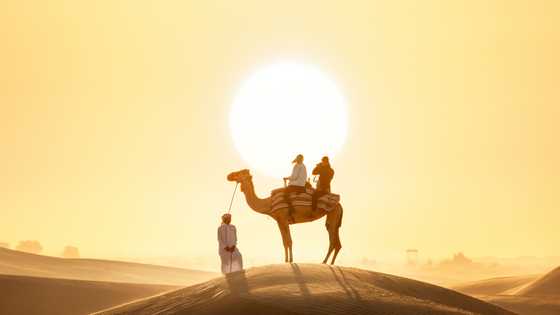 6 reasons to visit Dubai these winter school holidays