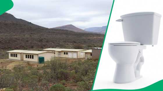Eastern Cape rural school struggles with no toilets, pupils have to relieve themselves in open field