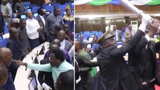 Sierra Leone politicians throw punches in parliament, leaving netizens in stitches