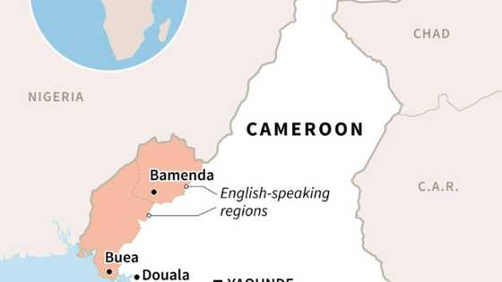 Cameroon says killed dozen anglophone separatists