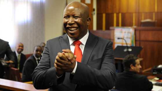 EFF gala dinner prices Julius Malema’s table at R1.2M, Mzansi scoffs at prices: “Roots of state capture”