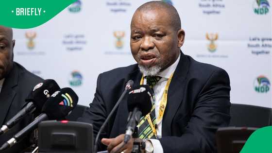 Gwede Mantashe lays charges against Zakhele Zuma over theft claims, says he's linked with MK Party