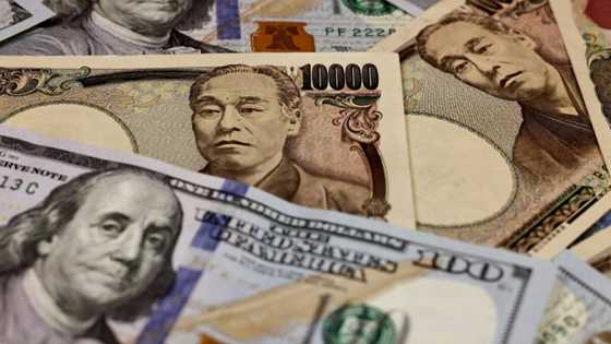 Asia tracks Wall St losses as US data deals blow to rate cut hopes