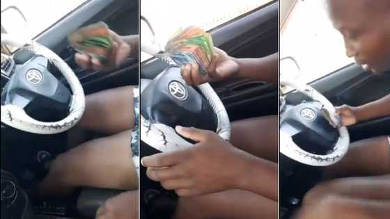 “Haibo": Mzansi reacts to driver flaunting a stash of money