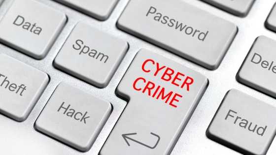 Child maintenance payments unintentionally postponed due to ransomware attack