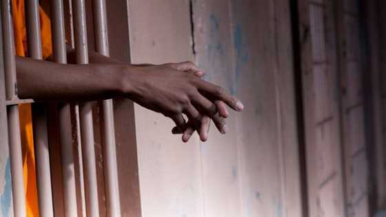 Durban investigation launched after 14 prisoners stabbed in Westville Prison