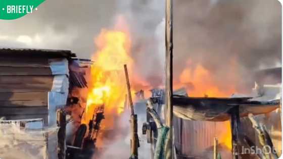 69 arrested, 23 spaza shops looted after Jeffreys Bay anti-immigrant protest turns violent