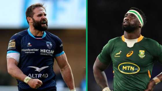 Springboks' cars: Siya Kolisi's R2.9M Mercedes-Benz G-Class to Cobus Reinach's R460K Toyota Hilux