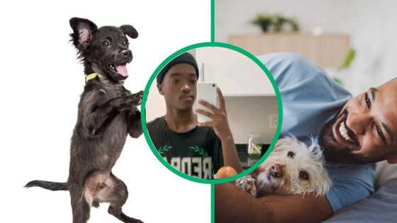 Mzansi stans dog's top dance moves: "Your dog is a vibe"