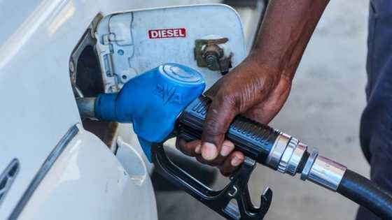 Leaked data suggests that fuel prices could decrease by at least 70c per litre in January