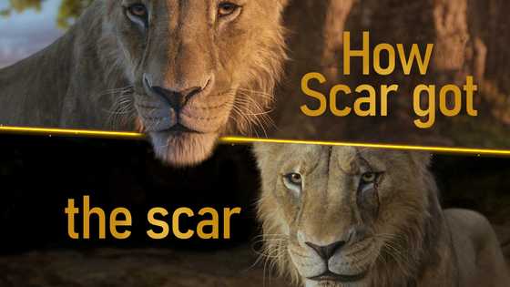 How did Scar get his scar in The Lion King? 2 origin stories compared