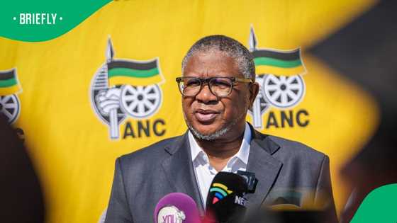 ANC opposes Griffiths Madonsela as evidence Leader in Phala Phala Impeachment inquiry