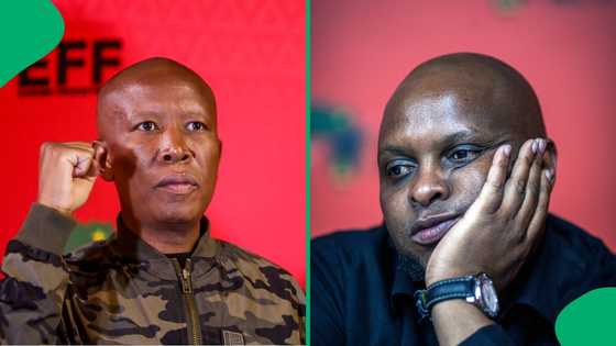 Julius Malema blames Floyd Shivambu for EFF’s failure in elections in KZN, SA calls him delusional