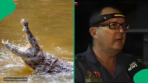 "Terrible way to die": Rescuer believes Komati River crocodile may have taken more victims, SA moved