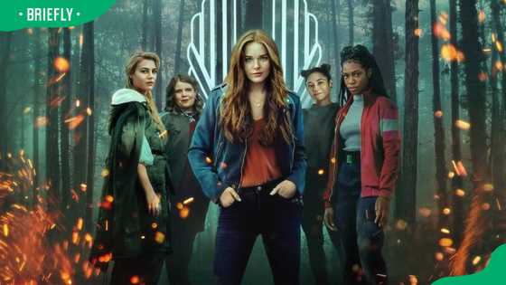 Why Netflix scrapped Fate: The Winx Saga season 3 and revival hopes