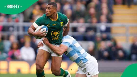 Damian Willemse embraces utility role as Springboks eye November wins
