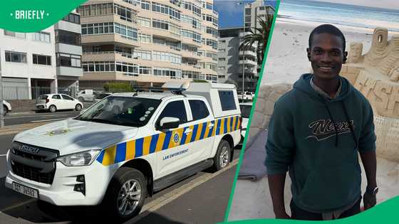 “Damage is done”: City of Cape Town denies Fish Hoek sand sculptor was arrested over permit issues