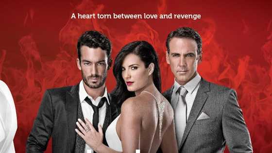 Broken Angel on Telemundo: Cast (with images), plot summary, full story, episodes