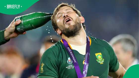 Francois Steyn’s Cheetahs find European home at Ospreys’ Swansea stadium
