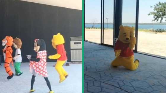 Amapiano dances by Disney's Minnie Mouse, Winnie the Pooh, and 2 more cartoon characters amuses SA